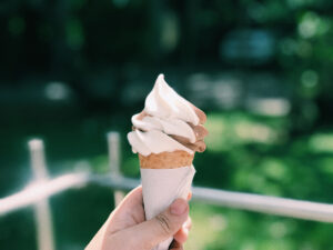 soft serve ice cream near me - iScreams Wheatley